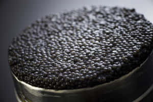 Black Caviar, Symbol Of Luxury Wallpaper