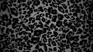 Black Cheetah Print Fabric Wallpaper