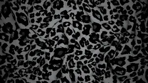 Black Cheetah Print Fabric Wallpaper