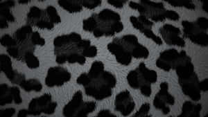 Black Cheetah Print Fabric Wallpaper