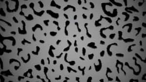 Black Cheetah Print Pattern Wallpaper