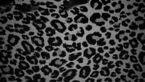 Black Cheetah Print Pattern Wallpaper