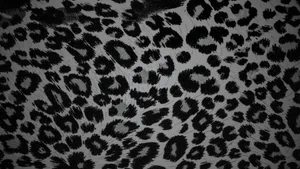 Black Cheetah Print Pattern Wallpaper