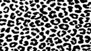 Black Cheetah Print Pattern Wallpaper
