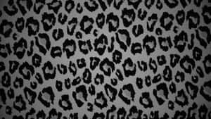 Black Cheetah Print Pattern Wallpaper