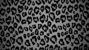 Black Cheetah Print Pattern Wallpaper