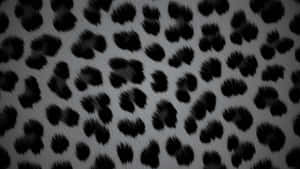 Black Cheetah Print Pattern Wallpaper