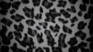 Black Cheetah Print Pattern Wallpaper