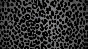Black Cheetah Print Pattern Wallpaper