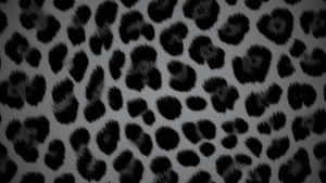 Black Cheetah Print Pattern Wallpaper