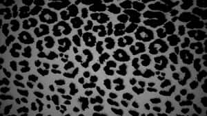 Black Cheetah Print Pattern Wallpaper