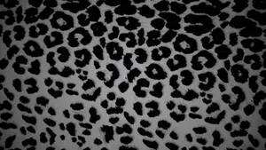 Black Cheetah Print Pattern Wallpaper