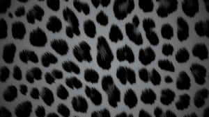 Black Cheetah Print Pattern Wallpaper