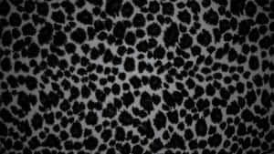 Black Cheetah Print Pattern Wallpaper