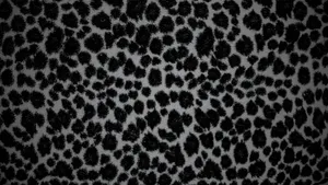 Black Cheetah Print Pattern Wallpaper