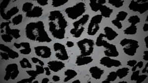 Black Cheetah Print Pattern Wallpaper