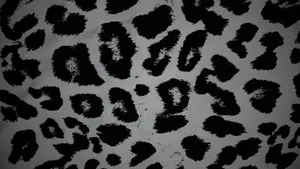 Black Cheetah Print Pattern Wallpaper