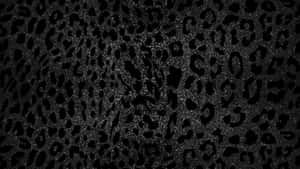 Black Cheetah Print Texture Wallpaper