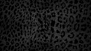Black Cheetah Print Texture Wallpaper