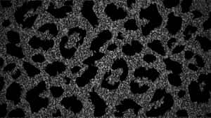 Black Cheetah Print Texture Wallpaper