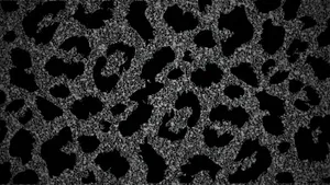 Black Cheetah Print Texture Wallpaper
