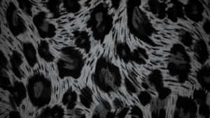 Black Cheetah Print Texture Wallpaper