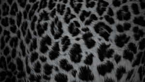 Black Cheetah Print Texture Wallpaper