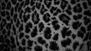 Black Cheetah Print Texture Wallpaper