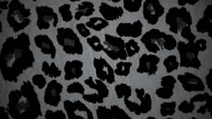 Black Cheetah Print Texture Wallpaper