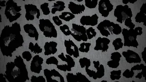 Black Cheetah Print Texture Wallpaper