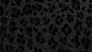 Black Cheetah Print Texture Wallpaper