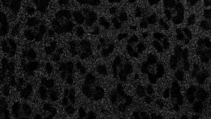 Black Cheetah Print Texture Wallpaper