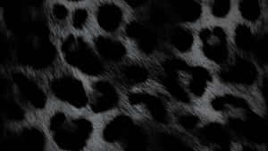 Black Cheetah Print Texture Wallpaper