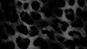 Black Cheetah Print Texture Wallpaper