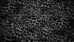 Black Cheetah Print Texture Wallpaper
