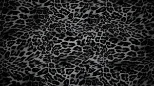 Black Cheetah Print Texture Wallpaper