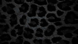 Black Cheetah Print Texture Wallpaper