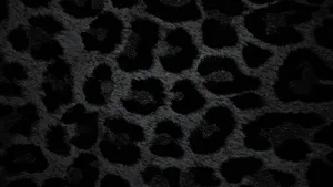 Black Cheetah Print Texture Wallpaper