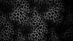 Black Cheetah Print Texture Wallpaper