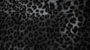 Black Cheetah Print Texture Wallpaper