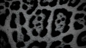 Black Cheetah Print Texture Wallpaper