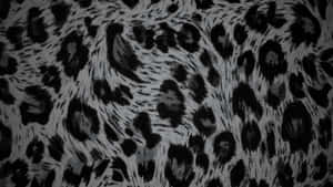 Black Cheetah Print Texture Wallpaper