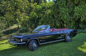 Black Convertible Ford Mustang Hd Wallpaper