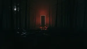 Black Door Portal Wallpaper