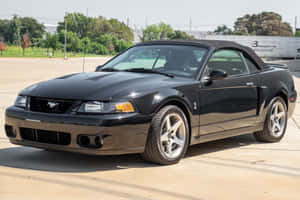 Black Ford Mustang S V T Cobra Convertible Wallpaper