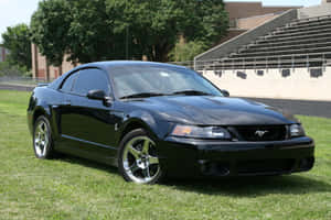 Black Ford Mustang S V T Cobra Parked Wallpaper