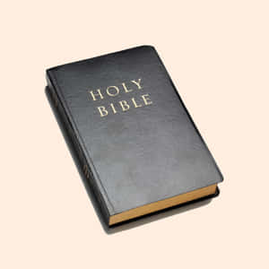 Black Holy Bible Book Cover Wallpaper