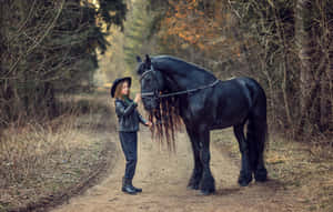 Black Horse Cute Animal Crossing With Woman Wallpaper