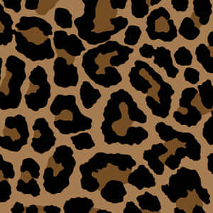 Black Leopard Print Pattern Wallpaper