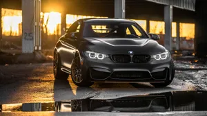 Black M4 Gts Full Hd Bmw Wallpaper